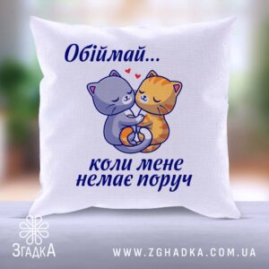 Подушка "Обіймай Згадка Бердичів" із милим принтом двох котиків, що обіймаються