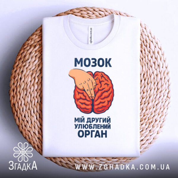 Футболка з гумором про мозок складена на декоративній підставці.