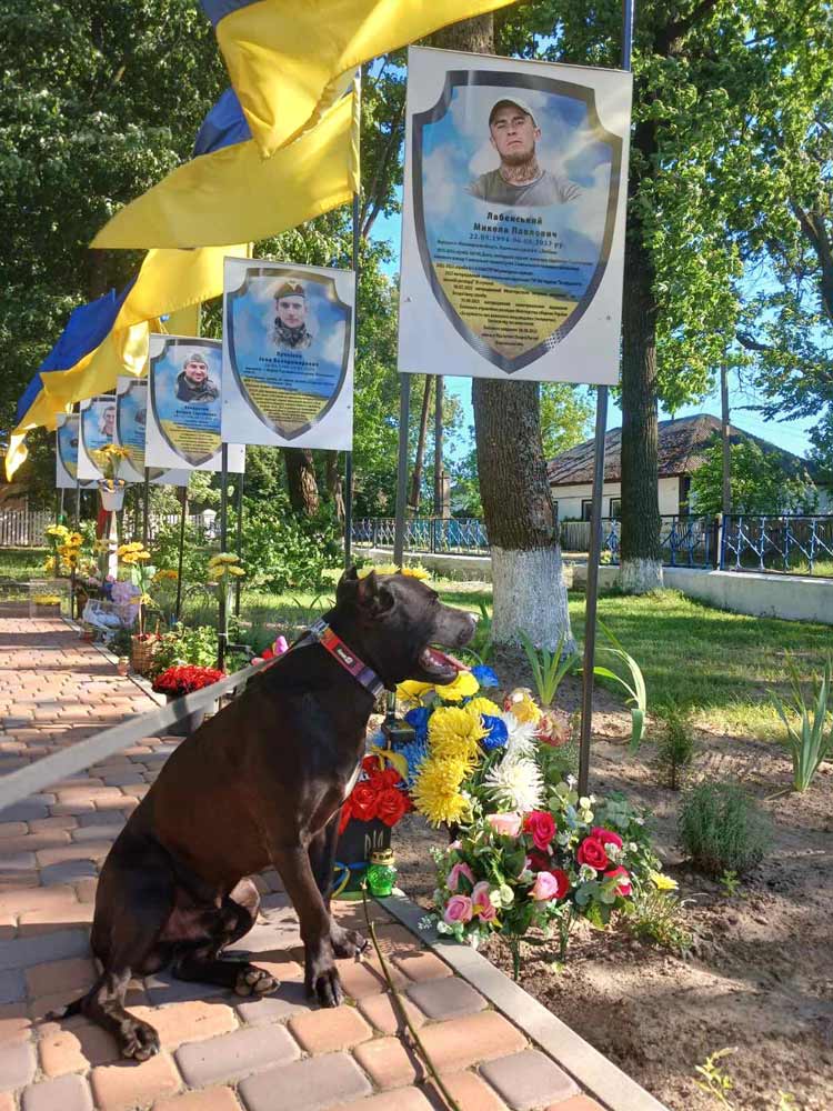 Лабенський Микола Павлович