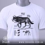 Футболка анатомія вовка, біла, зображена зверху, на фоні світлого кольору, принт чорного кольору з деталями анатомії вовка, на комірці є етикетка.