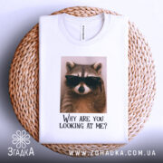 Футболка єнот гумор, біла, складена на плетеному кошику, фон світлий, принт з єнотом у темних окулярах та текстом 'Why are you looking at me?'.