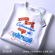 Футболка скромний найкращий. Біла футболка, складена на плоскій поверхні, з видимим етикеткою. На фоні світло-сірий градієнт. Принт з червоними та синіми елементами, текст підкреслює важливість скромності.