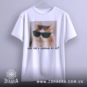 Футболка смішний кіт, біла, підвішена на вішалці, фон світло-сірий, принт з котом у чорних окулярах та написом 'WHY ARE U LOOKING AT ME?'.
