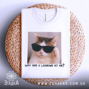 Футболка смішний кіт, біла, складена на плетеній основі, фон світло-сірий, принт з котом у чорних окулярах та написом 'WHY ARE U LOOKING AT ME?'.