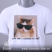 Футболка смішний кіт, біла, складена на столі, фон світло-сірий, принт з котом у чорних окулярах та написом 'WHY ARE U LOOKING AT ME?', з зеленим ярликом.