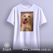 Футболка собака з льодяником, біла, підвішена на вішалці, зображення собаки з льодяником, фон світло-сірий, принт яскравий, собака з милим виразом обличчя.