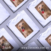 Футболка собака з льодяником, біла, зображення собаки з льодяником на фоні нейтрального кольору, принт яскравий, собака виглядає щасливою.