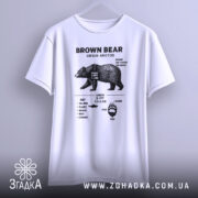 Футболка ведмідь схема, біла, підвішена на вішалці, фон світло-сірий, принт з чорними деталями, що містить інформацію про ведмедя, включаючи його вагу, зріст і дієту.