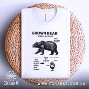 Футболка ведмідь схема, біла, розкладена на плетеній кошику, фон світло-сірий, принт з чорними деталями, що містить інформацію про ведмедя, включаючи його вагу, зріст і дієту.