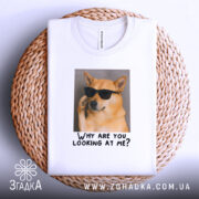 Футболка пес білого кольору, зображена на плетеній основі, ракурс зверху, фон світло-сірий, принт з собакою в окулярах та текстом "Why are you looking at me?".