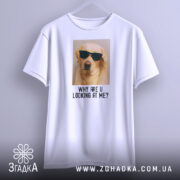 Футболка пес у окулярах, біла, з бокового ракурсу, на фоні світло-сірого градієнта, принт з зображенням жовтого лабрадора в окулярах та текстом 'WHY ARE U LOOKING AT ME?', підвішена на вішалці.