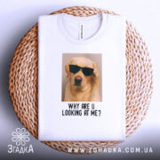 Футболка пес у окулярах, біла, з верхнього ракурсу, на фоні плетеного кошика, принт з зображенням жовтого лабрадора в окулярах та текстом 'WHY ARE U LOOKING AT ME?'.