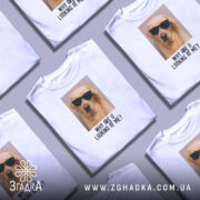 Футболка пес у окулярах, біла, з фронтального ракурсу, на фоні світло-сірого градієнта, принт з зображенням жовтого лабрадора в окулярах та текстом 'WHY ARE U LOOKING AT ME?'.