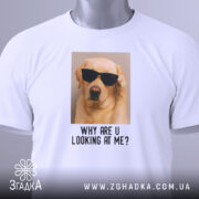 Футболка пес у окулярах, біла, з верхнього ракурсу, на фоні світло-сірого градієнта, принт з зображенням жовтого лабрадора в окулярах та текстом 'WHY ARE U LOOKING AT ME?', з етикеткою на рукаві.