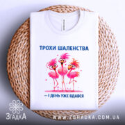 Футболка трохи шаленства, білого кольору, зображена зверху на плетеному кошику, фон світлий, принт з трьома рожевими фламінго, напис синього кольору, видима етикетка на горловині.