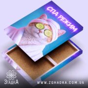 Холст СПА режим кіт релакс стиль, відкритий холст з фактурою, Згадка.