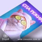 Холст СПА режим кіт релакс стиль, кутовий ракурс з деталями, Згадка.