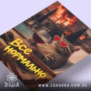 Холст все нормально мем стиль, кот з бокалом, бренд Згадка.