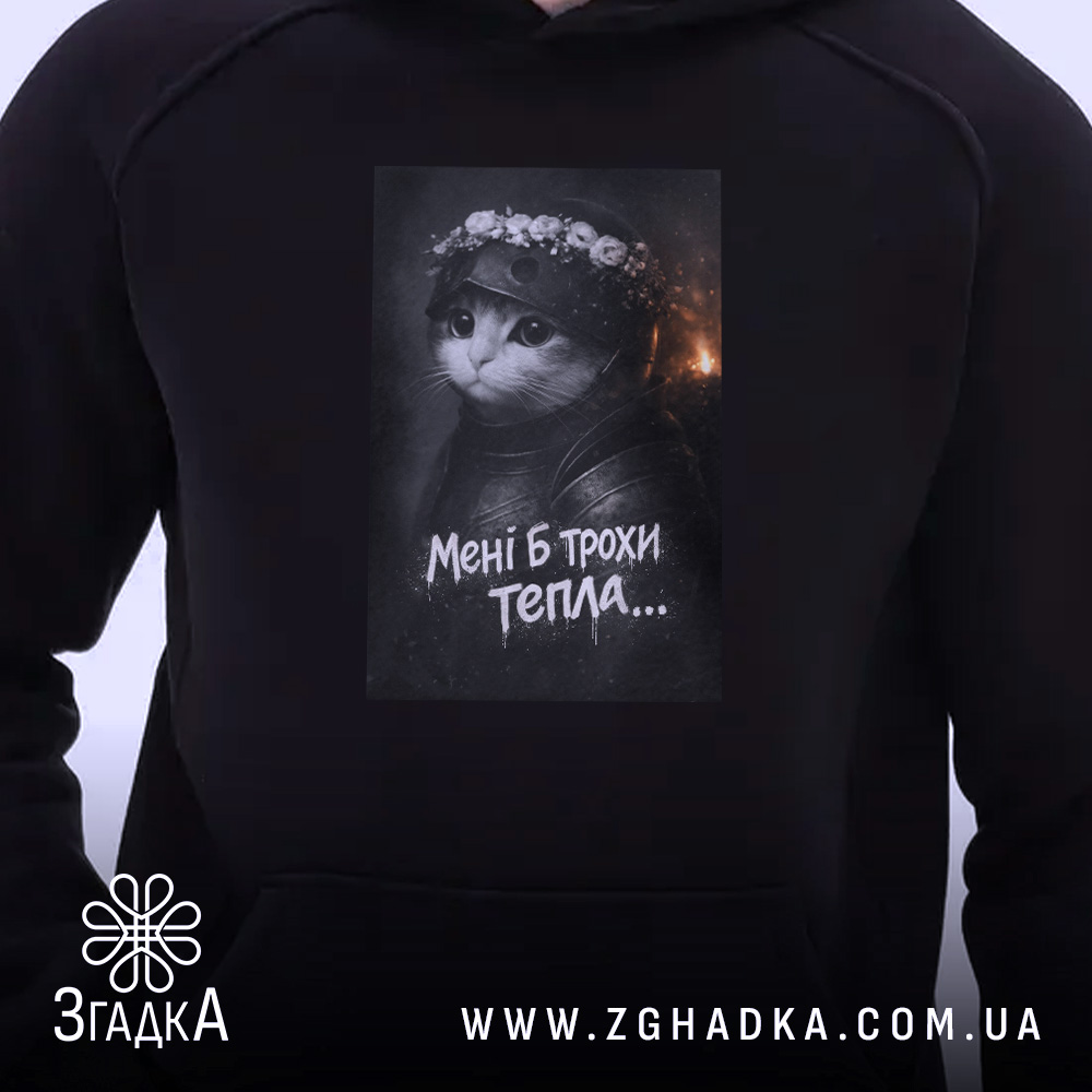 Худі мені б трохи тепла кіт лицар, близький план, принт на грудях,.