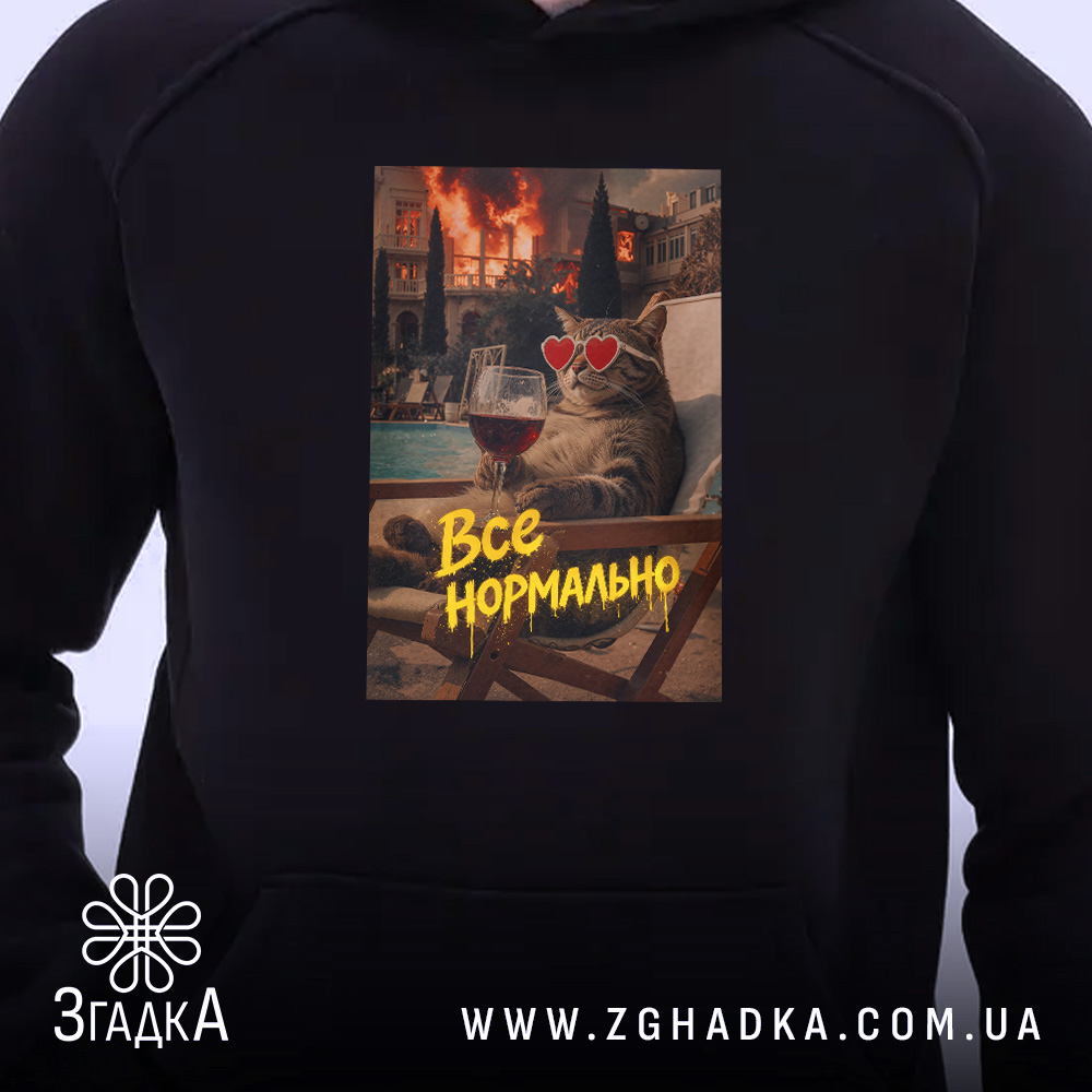 Худі все нормально мем стиль, чорний колір, близький ракурс, принт з котом,.