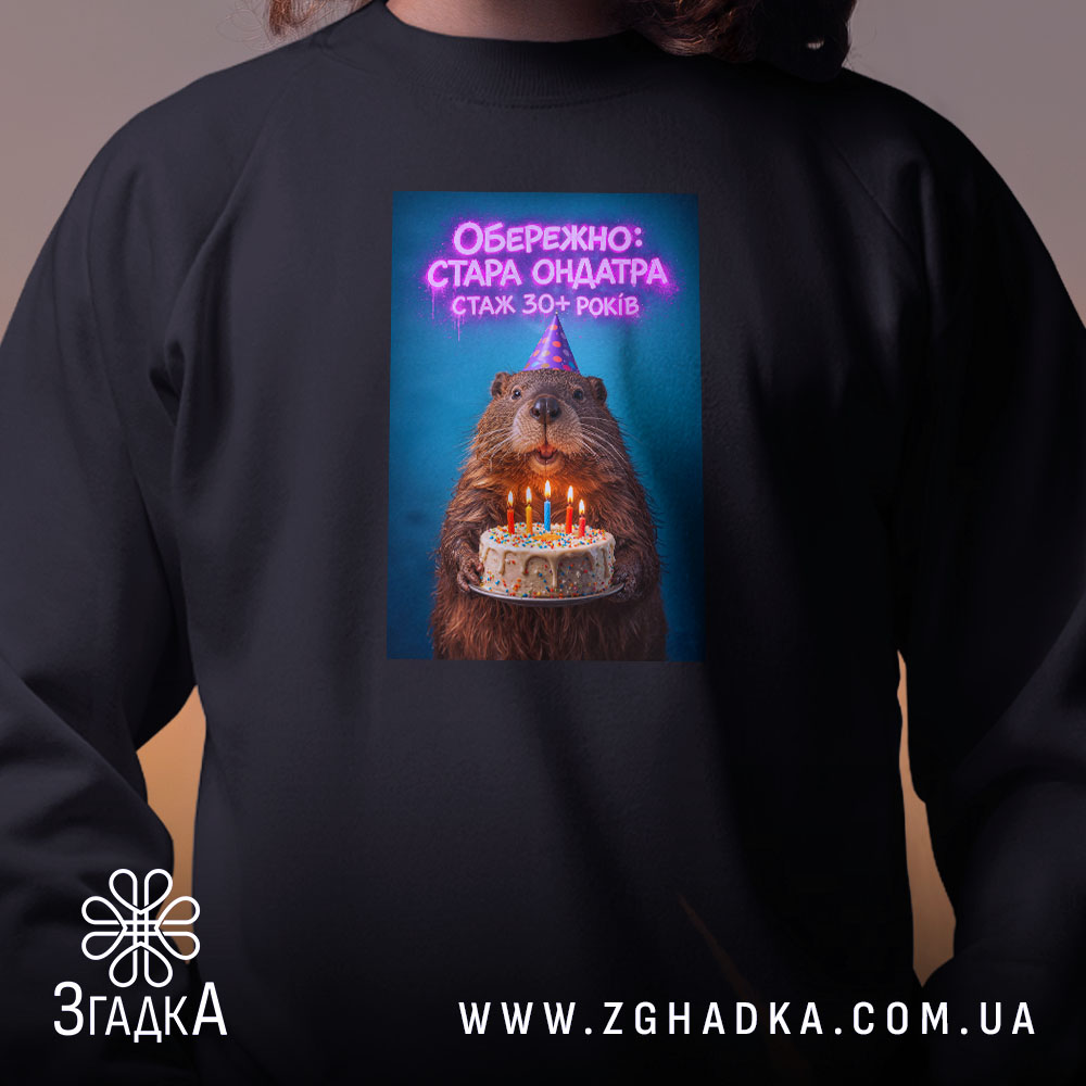 Світшот обережно стара ондатра, чорний колір, близький план, принт з ведмедем, бренд.