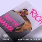 Холст життя вдалося, близький план собаки, натяжка, бренд Згадка.