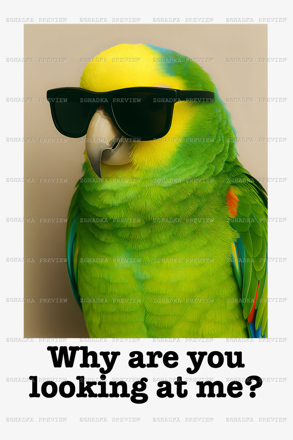 Принт «Why are you looking at me?» — прев’ю дизайну