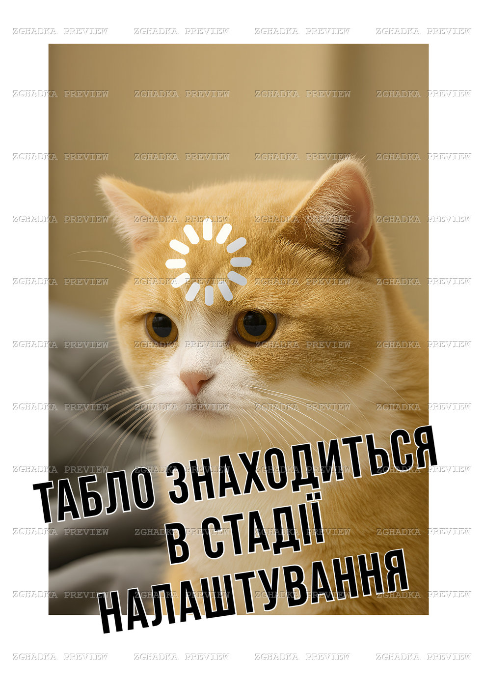 Принт «Табло в стадії налаштування» — прев’ю дизайну