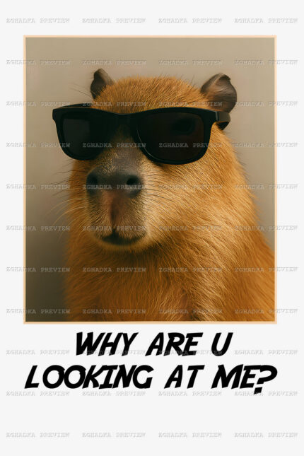 Принт «Why are u looking at me? — капібара» — прев’ю дизайну