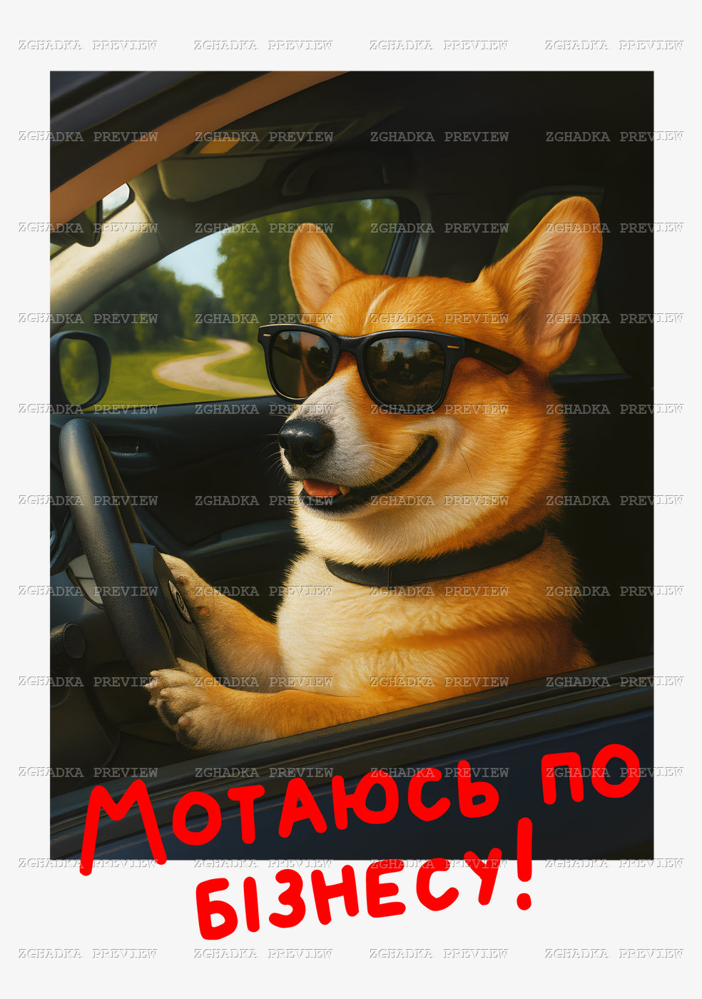 Принт «Мотаюсь по бізнесу» — прев’ю дизайну