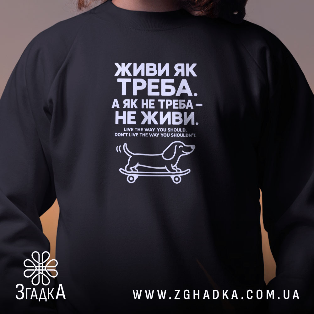 Світшот, детальний вигляд, ракурс 2.